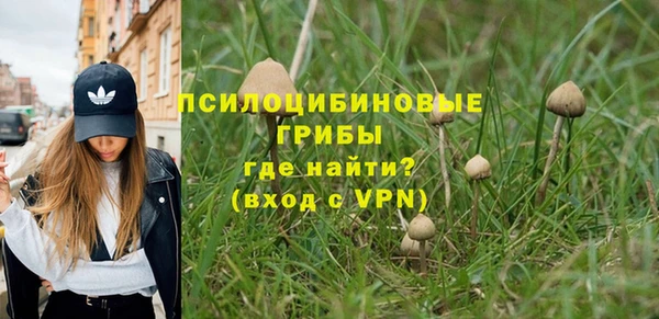 PSILOCYBIN Арсеньев