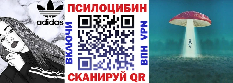 цены   Сунжа  Галлюциногенные грибы Psilocybine cubensis 
